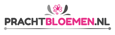 logo prachtbloemen